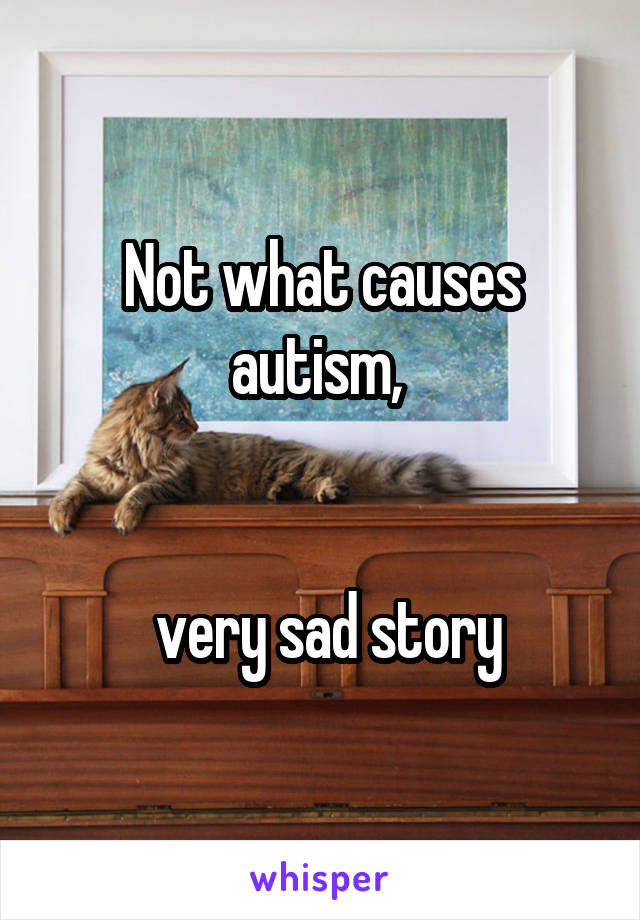 Not what causes autism, 


 very sad story