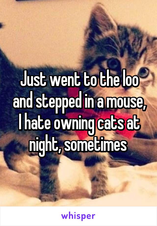 Just went to the loo and stepped in a mouse, I hate owning cats at night, sometimes 