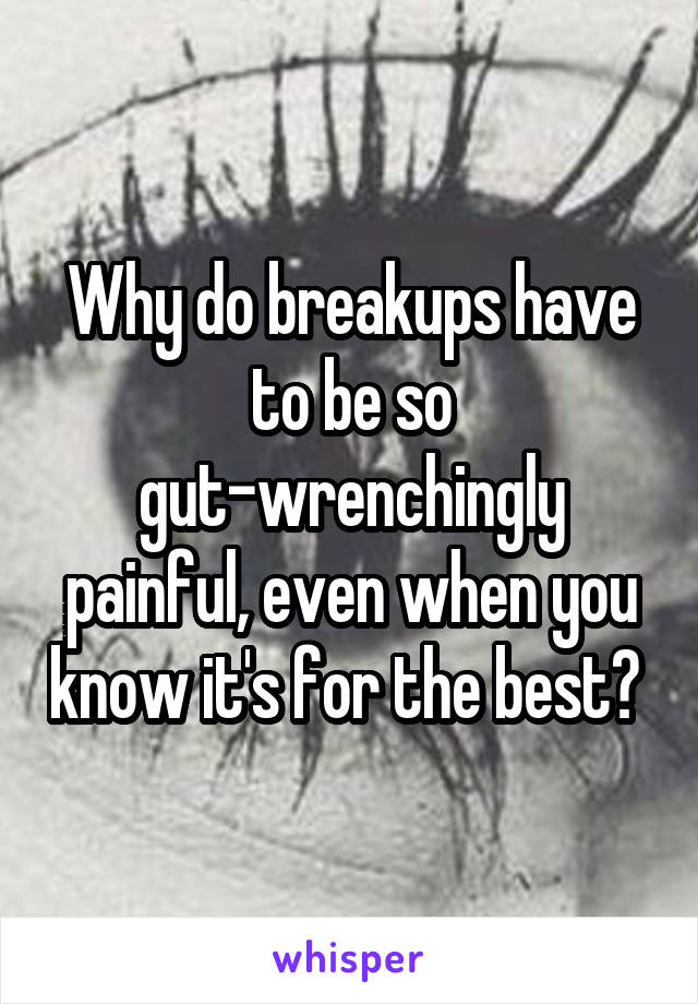 Why do breakups have to be so gut-wrenchingly painful, even when you know it's for the best? 