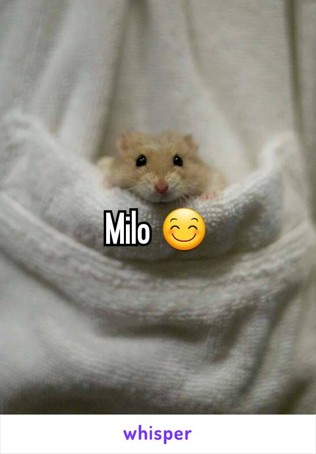 Milo 😊