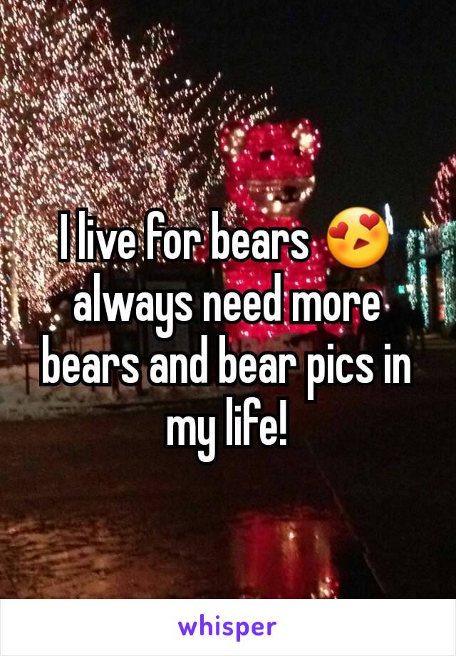 I live for bears 😍always need more bears and bear pics in my life!