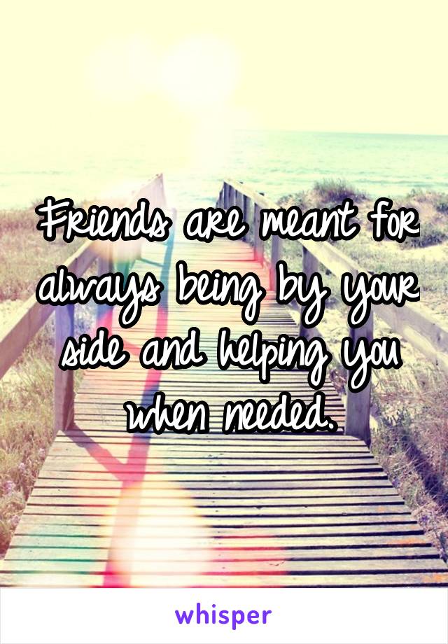 Friends are meant for always being by your side and helping you when needed.