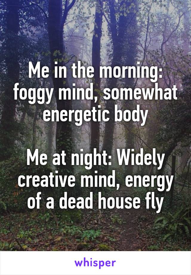 Me in the morning: foggy mind, somewhat energetic body

Me at night: Widely creative mind, energy of a dead house fly