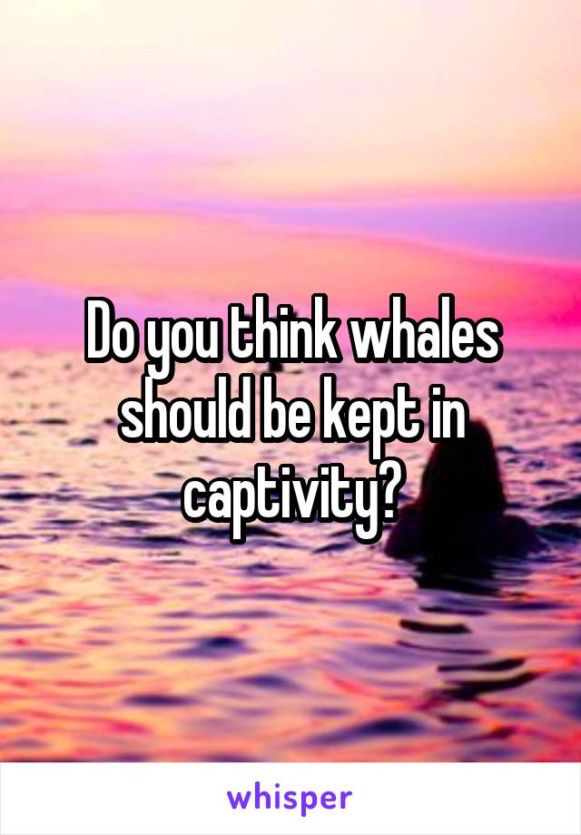 Do you think whales should be kept in captivity?