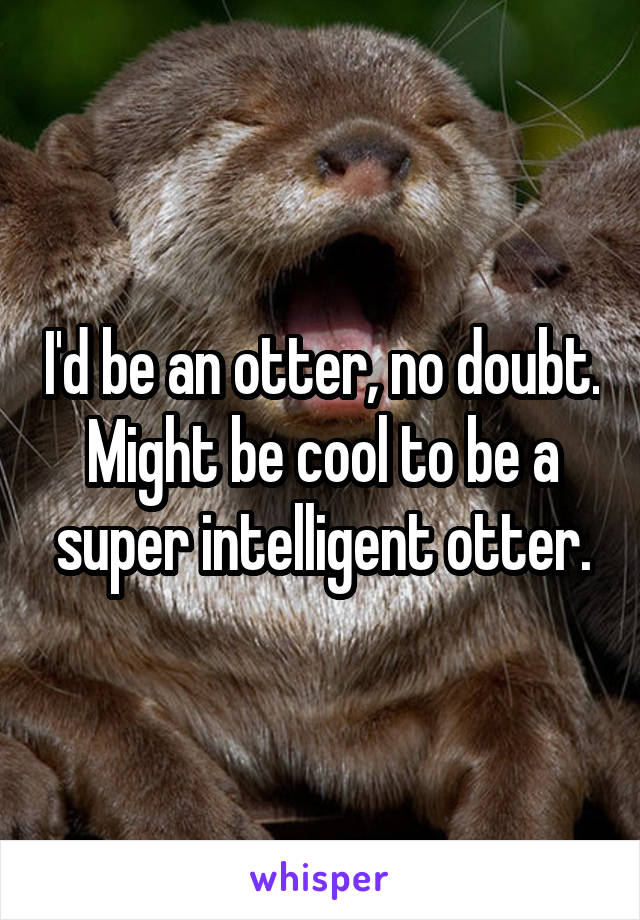 I'd be an otter, no doubt. Might be cool to be a super intelligent otter.