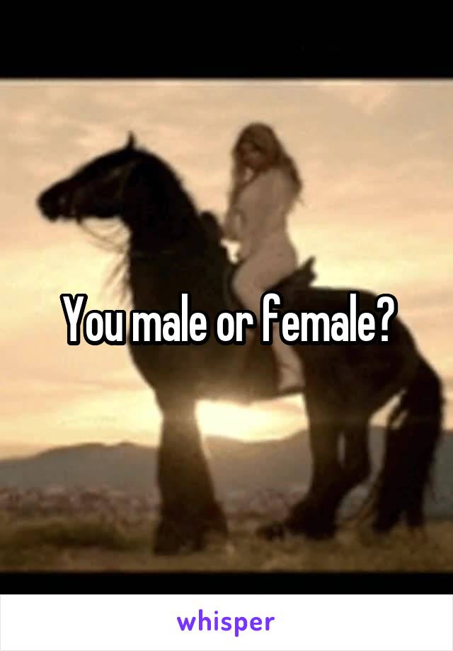 You male or female?