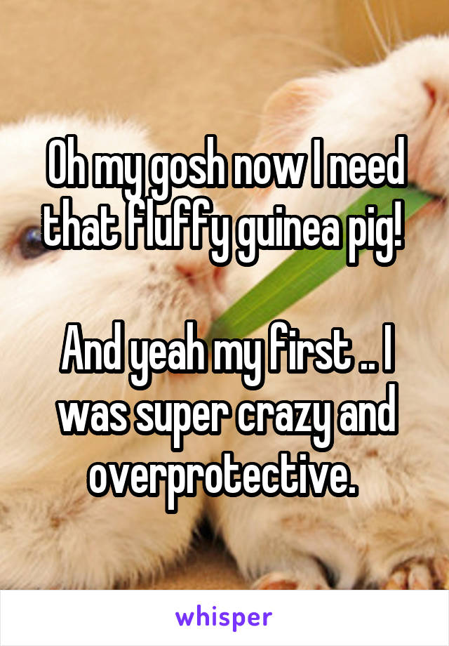 Oh my gosh now I need that fluffy guinea pig! 

And yeah my first .. I was super crazy and overprotective. 