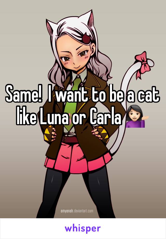 Same!  I want to be a cat like Luna or Carla 💁🏻