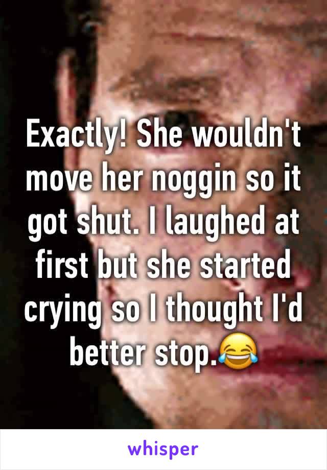 Exactly! She wouldn't move her noggin so it got shut. I laughed at first but she started crying so I thought I'd better stop.😂