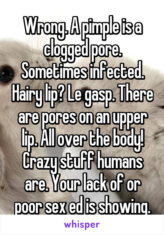 Wrong. A pimple is a clogged pore. Sometimes infected. Hairy lip? Le gasp. There are pores on an upper lip. All over the body! Crazy stuff humans are. Your lack of or poor sex ed is showing.