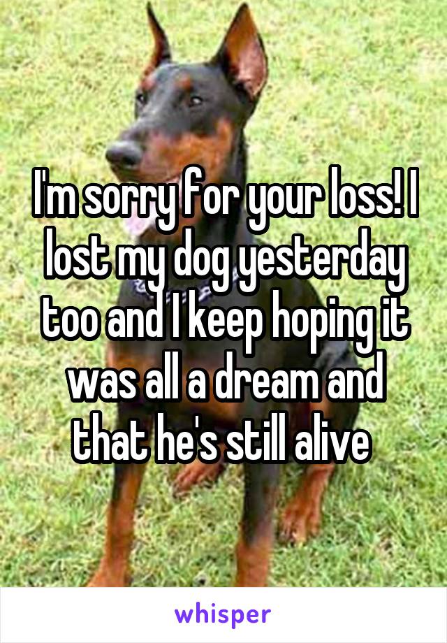 I'm sorry for your loss! I lost my dog yesterday too and I keep hoping it was all a dream and that he's still alive 