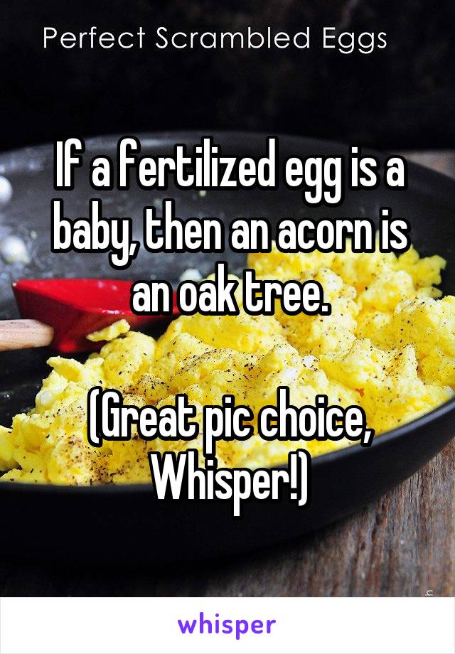 If a fertilized egg is a baby, then an acorn is an oak tree.

(Great pic choice, Whisper!)