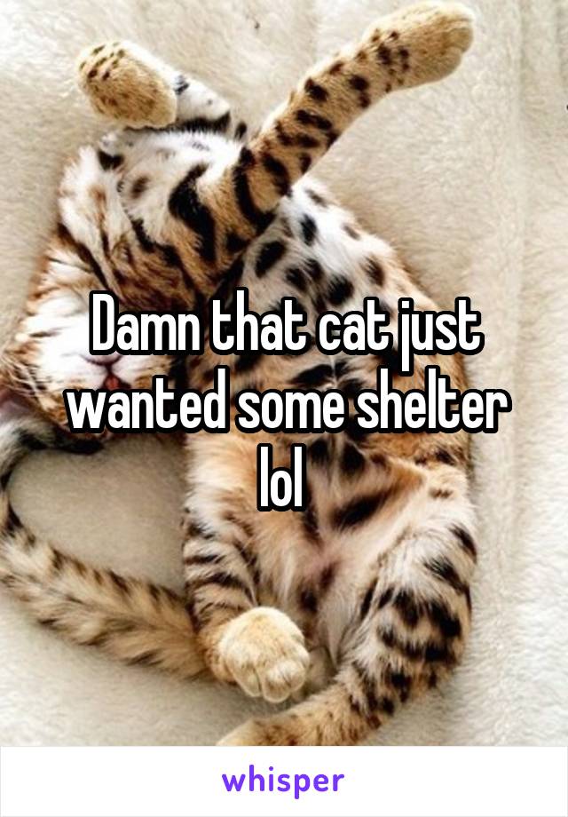 Damn that cat just wanted some shelter lol 