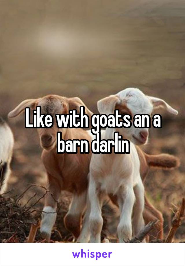 Like with goats an a barn darlin