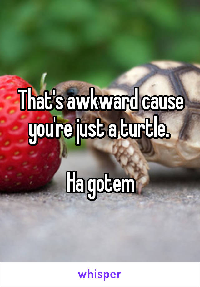 That's awkward cause you're just a turtle. 

Ha gotem