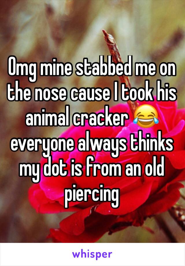 Omg mine stabbed me on the nose cause I took his animal cracker 😂 everyone always thinks my dot is from an old piercing 