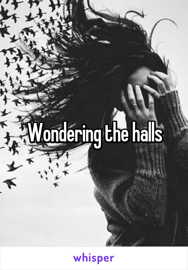 Wondering the halls