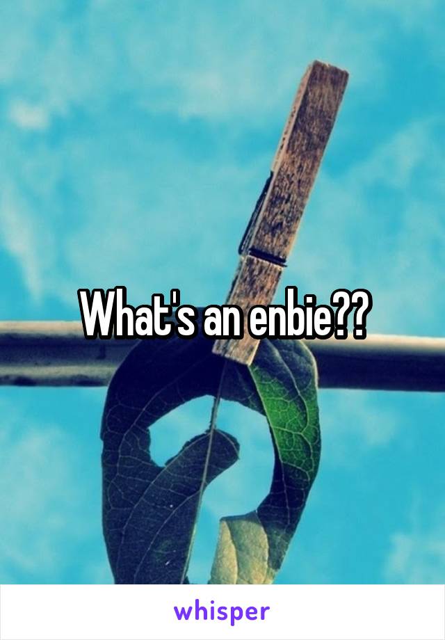 What's an enbie??