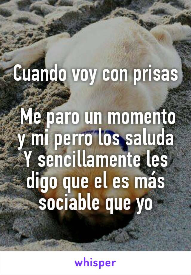 Cuando voy con prisas

 Me paro un momento y mi perro los saluda
Y sencillamente les digo que el es más sociable que yo