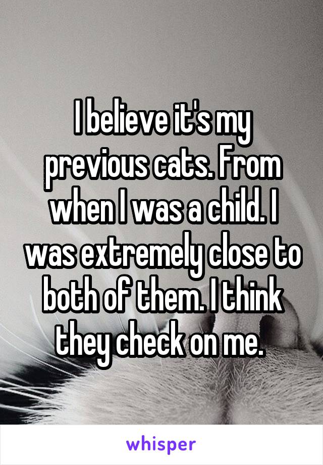 I believe it's my previous cats. From when I was a child. I was extremely close to both of them. I think they check on me. 