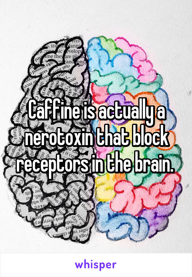 Caffine is actually a nerotoxin that block receptors in the brain. 