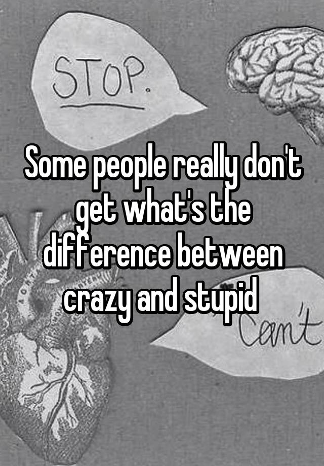 some-people-really-don-t-get-what-s-the-difference-between-crazy-and-stupid