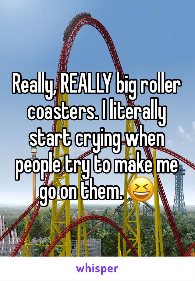 Really, REALLY big roller coasters. I literally start crying when people try to make me go on them. 😆