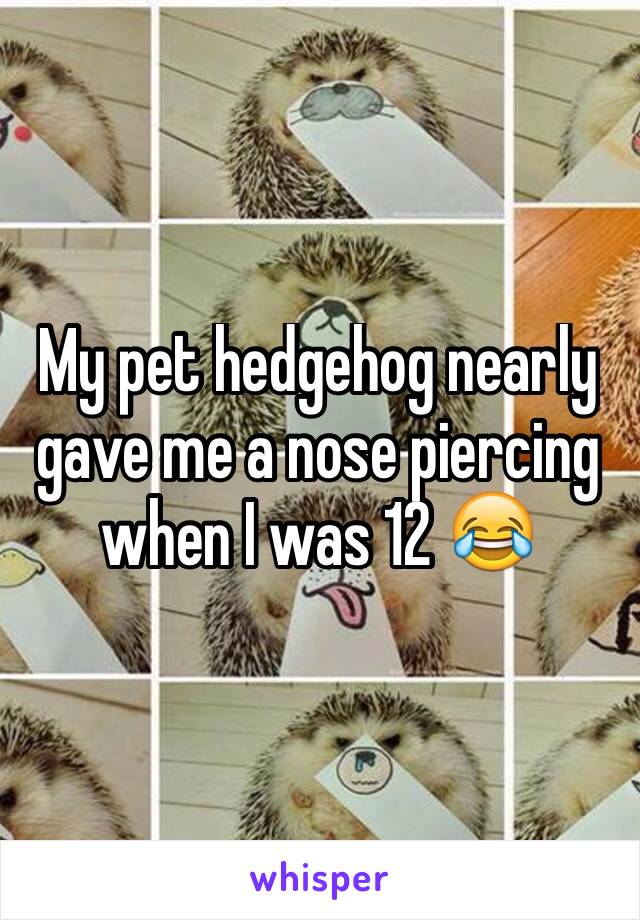 My pet hedgehog nearly gave me a nose piercing when I was 12 😂