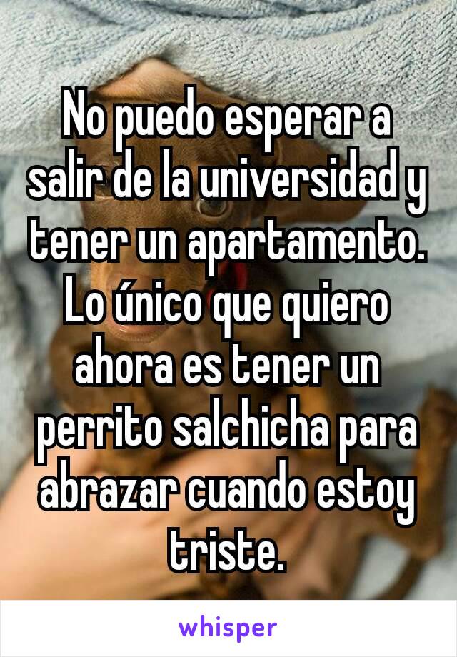 No puedo esperar a salir de la universidad y tener un apartamento. Lo único que quiero ahora es tener un perrito salchicha para abrazar cuando estoy triste.