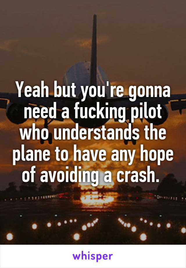 Yeah but you're gonna need a fucking pilot who understands the plane to have any hope of avoiding a crash. 