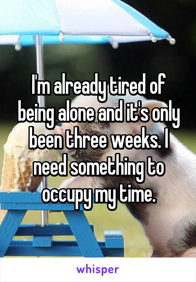 I'm already tired of being alone and it's only been three weeks. I need something to occupy my time.