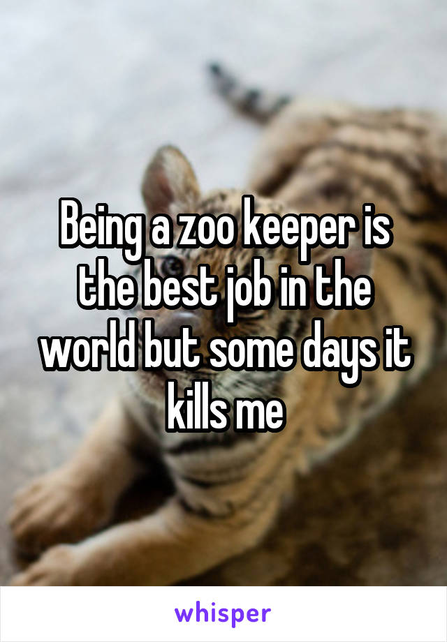 Being a zoo keeper is the best job in the world but some days it kills me