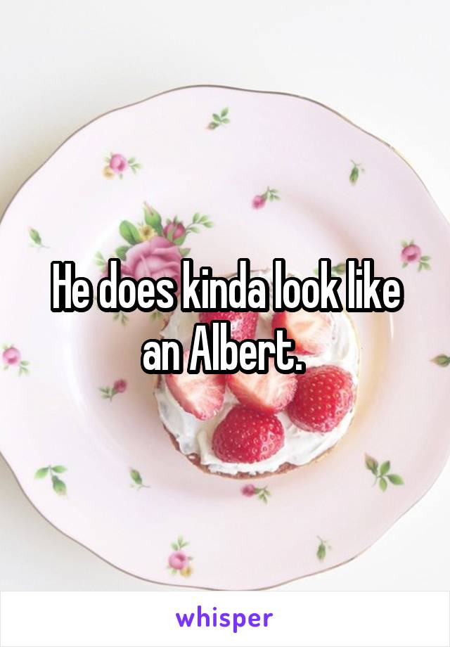 He does kinda look like an Albert. 