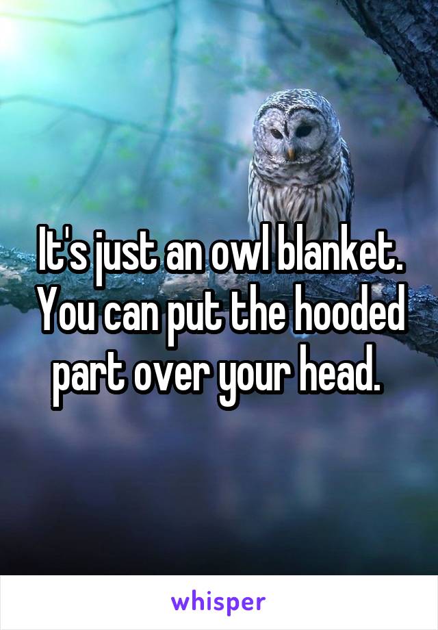 It's just an owl blanket. You can put the hooded part over your head. 