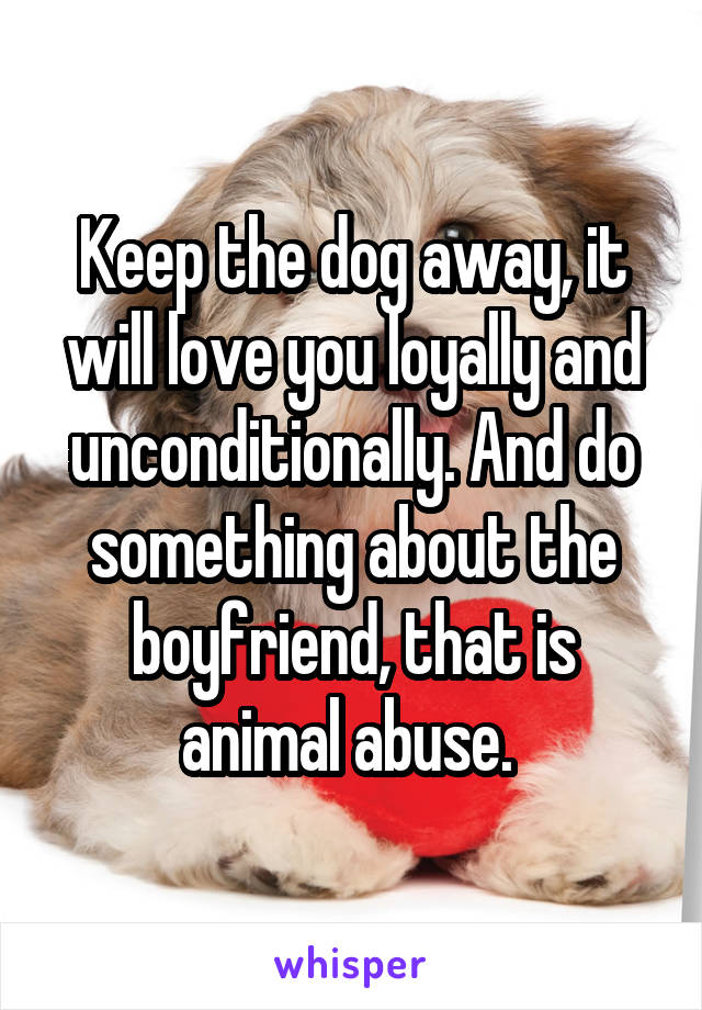 Keep the dog away, it will love you loyally and unconditionally. And do something about the boyfriend, that is animal abuse. 