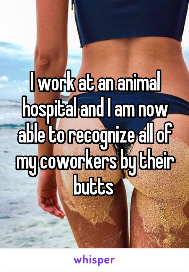 I work at an animal hospital and I am now able to recognize all of my coworkers by their butts 