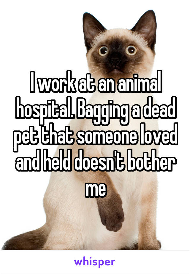 I work at an animal hospital. Bagging a dead pet that someone loved and held doesn't bother me
