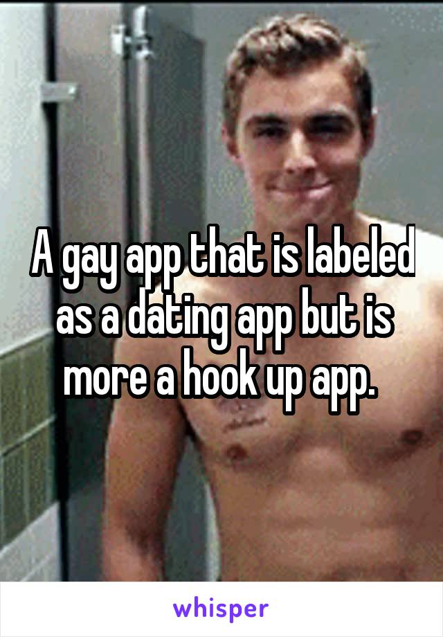 A gay app that is labeled as a dating app but is more a hook up app. 