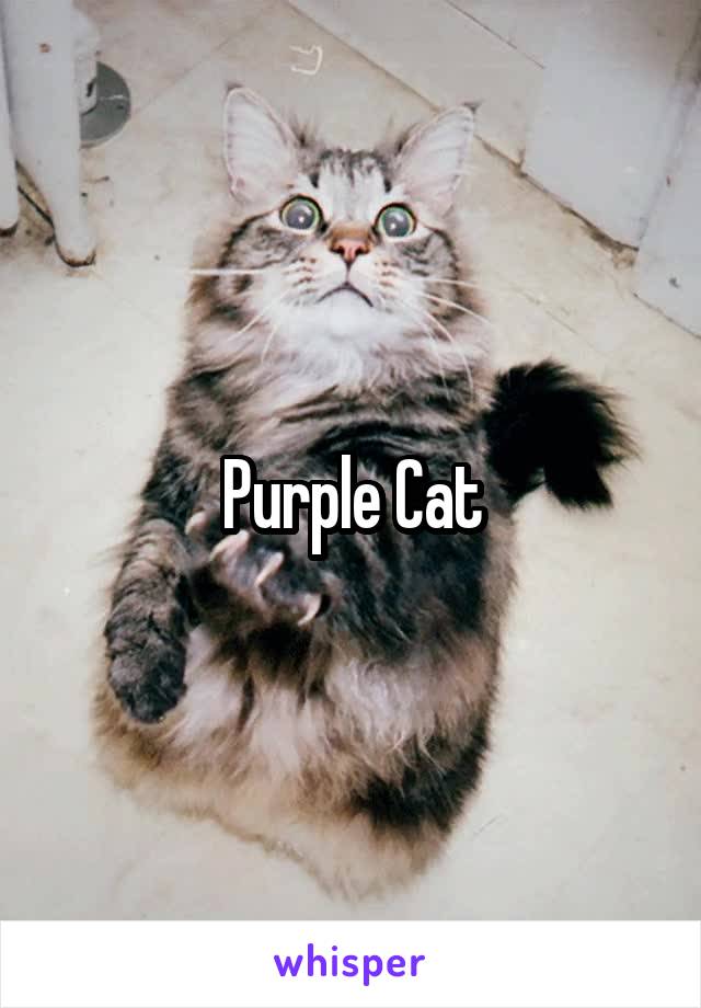 Purple Cat