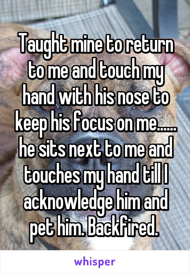 Taught mine to return to me and touch my hand with his nose to keep his focus on me...... he sits next to me and touches my hand till I acknowledge him and pet him. Backfired. 