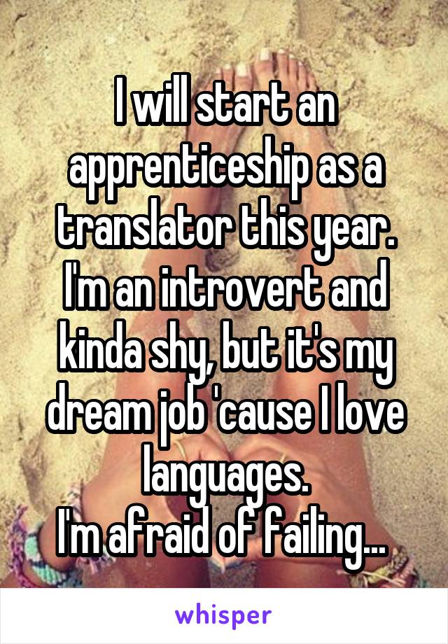 I will start an apprenticeship as a translator this year.
I'm an introvert and kinda shy, but it's my dream job 'cause I love languages.
I'm afraid of failing... 