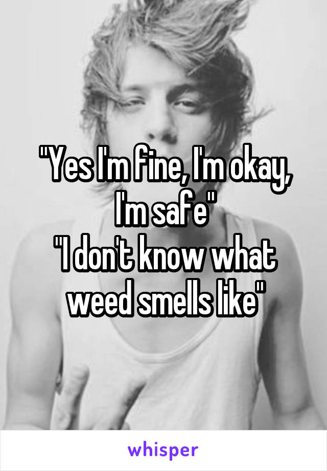 "Yes I'm fine, I'm okay, I'm safe"
"I don't know what weed smells like"