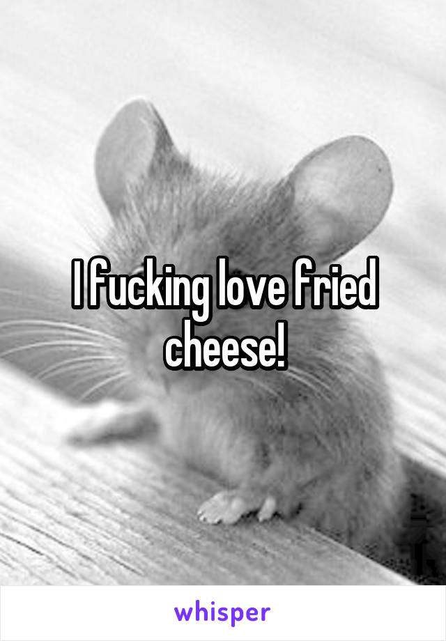 I fucking love fried cheese!