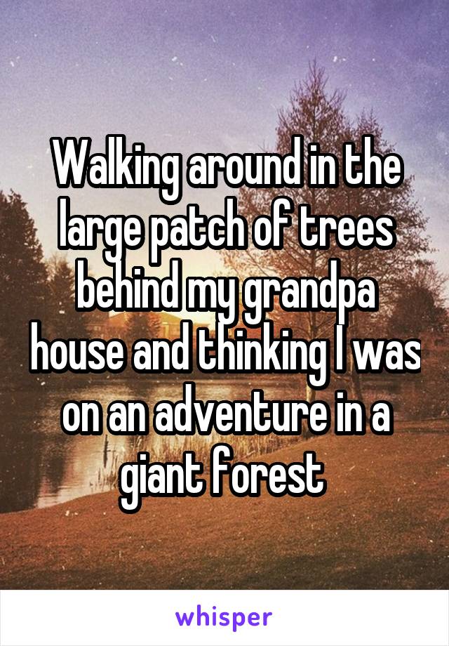 Walking around in the large patch of trees behind my grandpa house and thinking I was on an adventure in a giant forest 