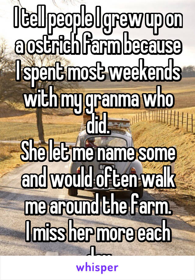 I tell people I grew up on a ostrich farm because I spent most weekends with my granma who did.
She let me name some and would often walk me around the farm.
I miss her more each day