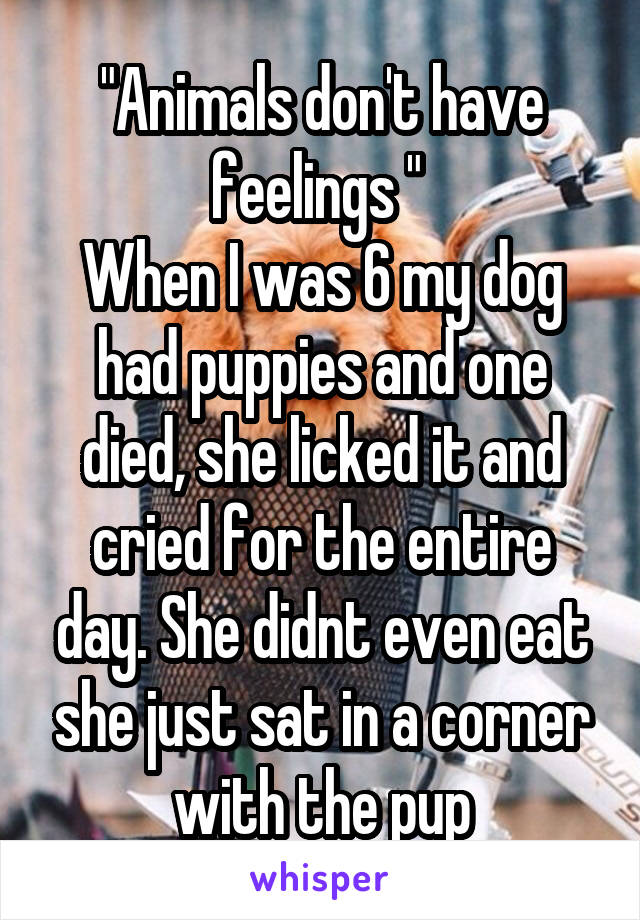 "Animals don't have feelings " 
When I was 6 my dog had puppies and one died, she licked it and cried for the entire day. She didnt even eat she just sat in a corner with the pup