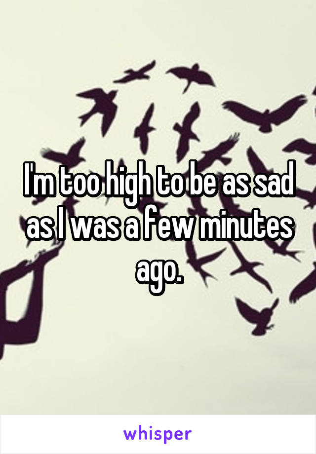 I'm too high to be as sad as I was a few minutes ago.