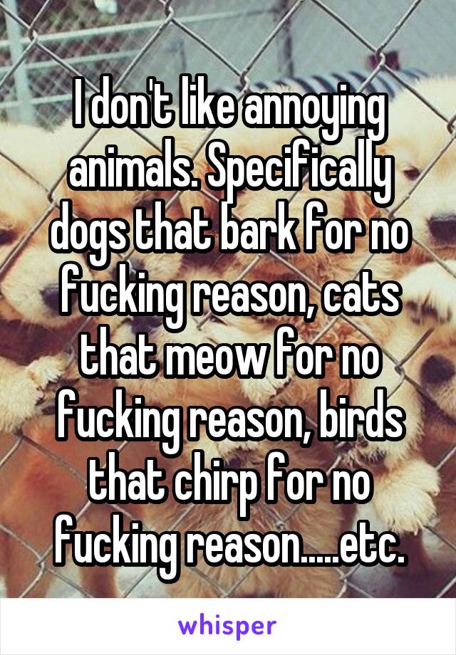 I don't like annoying animals. Specifically dogs that bark for no fucking reason, cats that meow for no fucking reason, birds that chirp for no fucking reason.....etc.