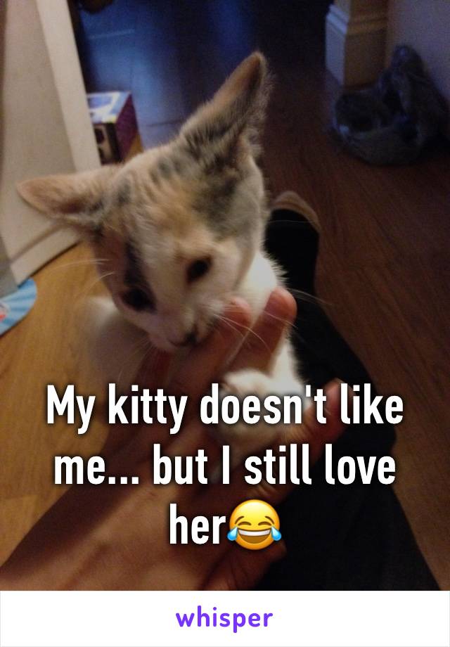 My kitty doesn't like me... but I still love her😂