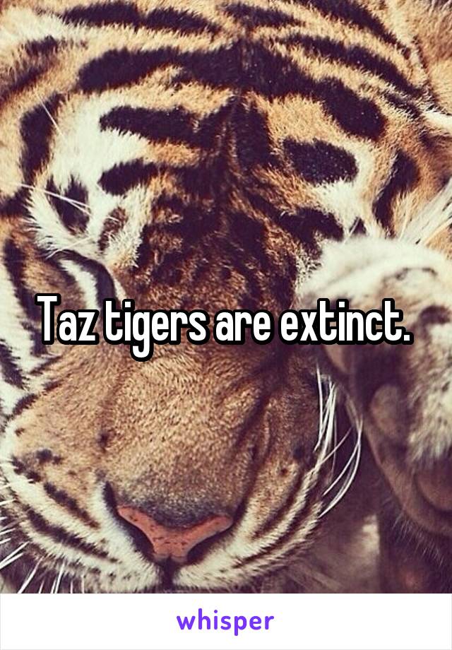 Taz tigers are extinct. 